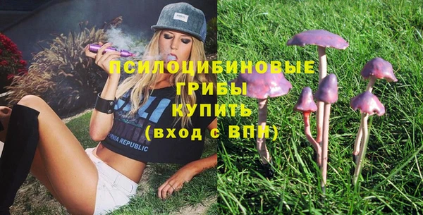 шишки Абинск