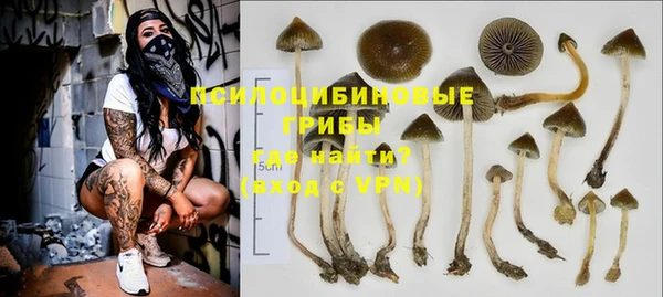 бутират Алзамай