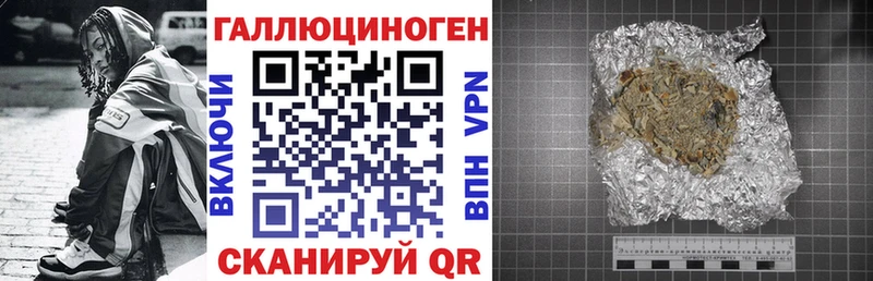 Псилоцибиновые грибы Psilocybe Сарапул
